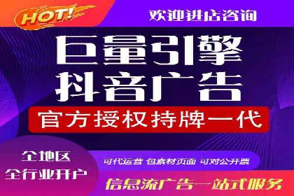 某某SEM服务公司成功案例：从数据出发的营销策略